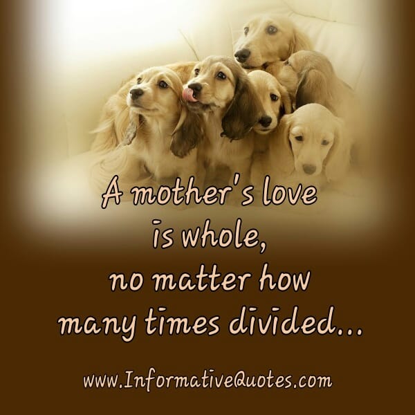A mother's love is whole