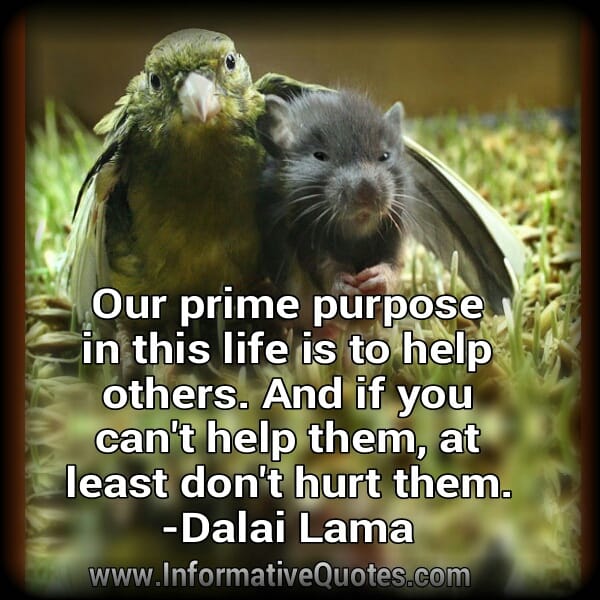 If you can't help others, at least don't hurt them