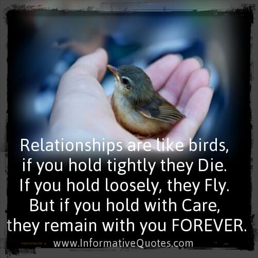 Relationships are like Birds