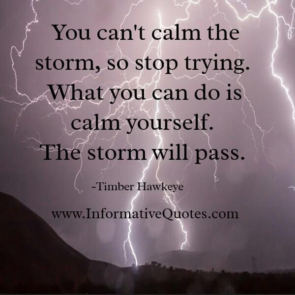 You can't calm the storm, so stop trying