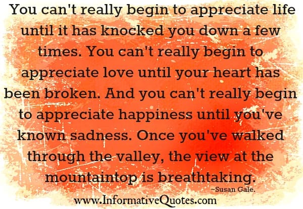 You can't really begin to appreciate love until your heart has been broken