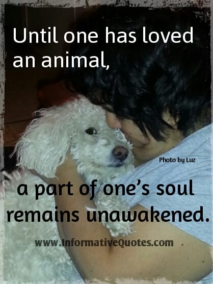 Until one has loved an animal